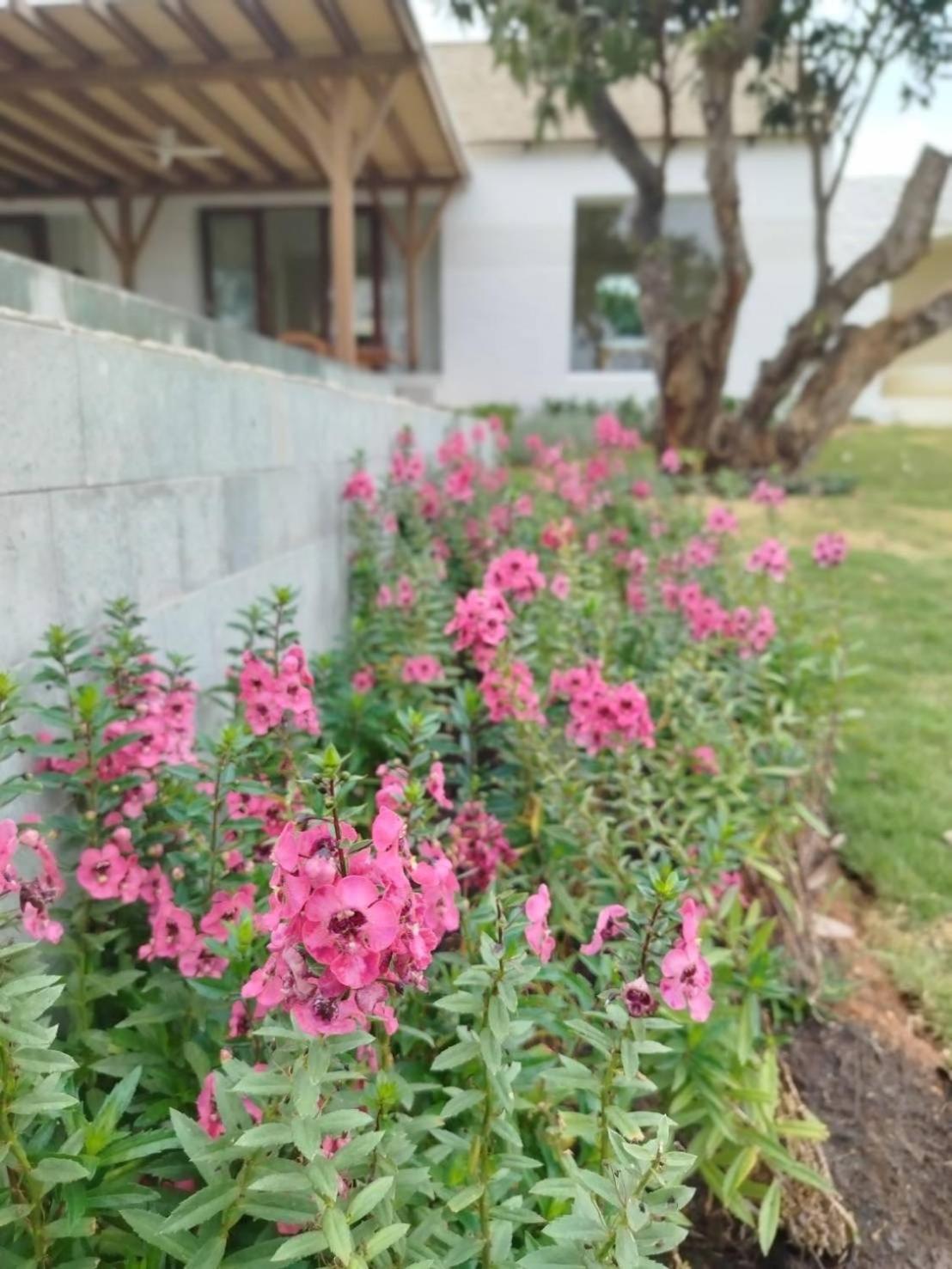 Roukh Kiri Khaoyai Villa Pakchong Bagian luar foto